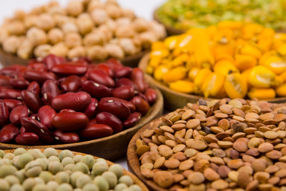 Add Variety to Your Diet with These Plant-Based Protein Sources
